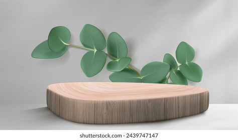 3d wood podium for product display on background. Wooden stand in minimal studio scene with light and eucalyptus leaves. Empty beauty platform in white or gray showcase realistic backdrop.