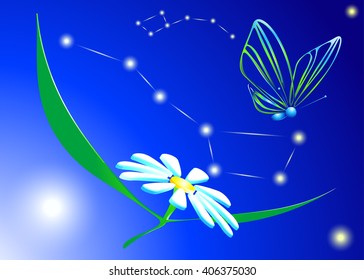 3D,flower,flight,butterfly,space, constellation