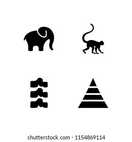 4 africa icons in vector set. skeleton, safari, zoo and pyramid illustration for web and graphic design