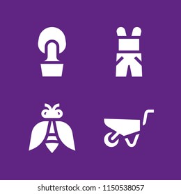 4 age icons in vector set. farming and gardening illustration for web and graphic design
