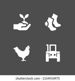 4 agriculture icons in vector set. tractor, sprout, hen and cotton illustration for web and graphic design