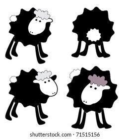 4 beautiful back sheep