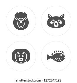 4 Beaver, sloth, Raccoon, Flounder modern icons on round shapes, vector illustration, eps10, trendy icon set.