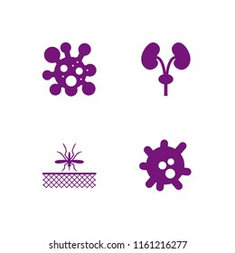 4 blood icons in vector set. virus, mosquito and kidney illustration for web and graphic design