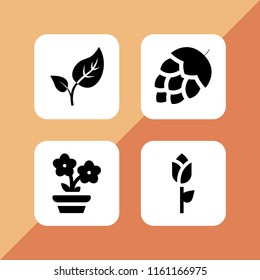 4 blossom icons in vector set. artichoke, rose, budding leaves and flower illustration for web and graphic design