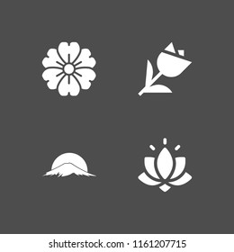 4 blossom icons in vector set. tulip, japan and flower illustration for web and graphic design