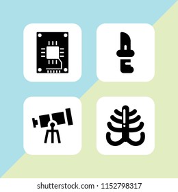 4 board icons in vector set. ssd, tools and utensils, bones and knife illustration for web and graphic design