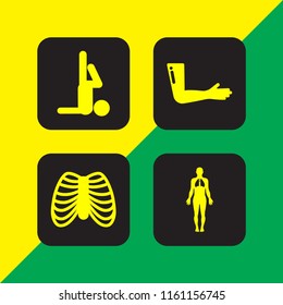 4 body icons in vector set. body part, skeleton, human body and yoga illustration for web and graphic design