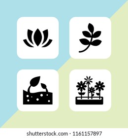 4 botanical icons in vector set. bud, branch with leaves black shape, flowers pot of yard and lotus illustration for web and graphic design