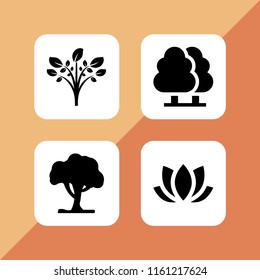4 botany icons in vector set. lotus, tree and plant illustration for web and graphic design