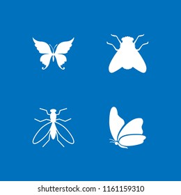 4 bug icons in vector set. mosquito from top view, butterfly and insect illustration for web and graphic design