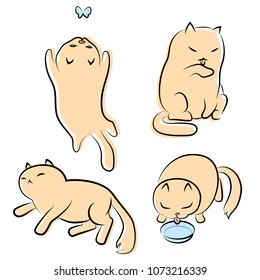 4 cats vector illustration