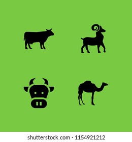 4 cattle icons in vector set. cow, goat, cow silhouette and camel illustration for web and graphic design