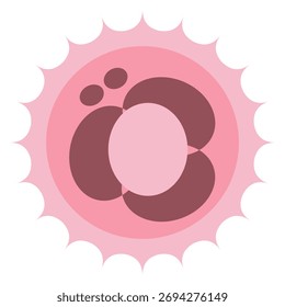 Ilustración de desarrollo de embriones humanos de 4 etapas celulares