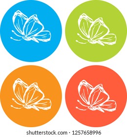 4 Collection Hand Drawn Icon Butterfly Nature Design Vector Illustration. Good for Graphic Design, Logo, Outline, Layout, Template. 
