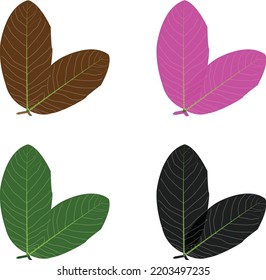 4 Color Guava Leaf Vector Artwork. This Is An Eps Vector File.