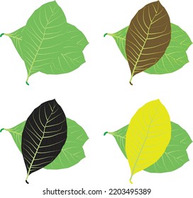 4 Color Jackfruit leaf Vector artwork. This is an eps vector file.