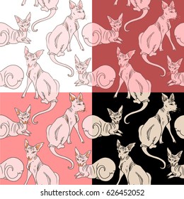 4 color variants of sphinx cat seamless vector pattern