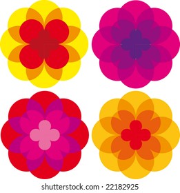 4 colored daisy flower illustration vectors