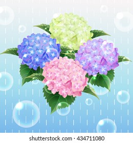 Ajisai Stock Illustrations Images Vectors Shutterstock