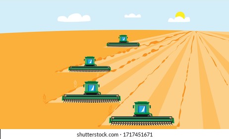4 combine harvesters mow wheat crop. Vector illustration for agribusiness.