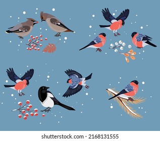 4 compositions with birds. Wintering birds are magpies, pipits, bullfinches.