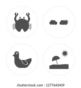 4 Crab, Duck, Cloudy, Sun umbrella modern icons on round shapes, vector illustration, eps10, trendy icon set.