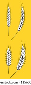 4 crop,  barley - wheat vector set for your design or logo 