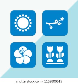 4 decorative icons in vector set. flowers and flower illustration for web and graphic design