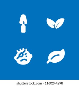 4 decorative icons in vector set. plant leaf with white details, trowel, plant and pirate illustration for web and graphic design