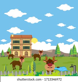 4 deer on plantations, mountain and animal  house backgrounds, illustrated images, animal story books