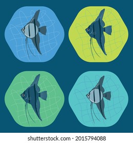 4 different fishes picture for children