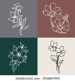 4 different line illustrations on square paster backgrounds, floral logo elements