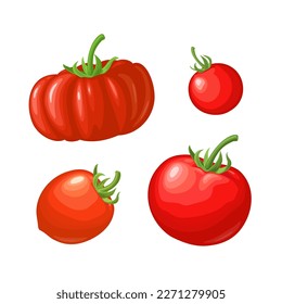 4 verschiedene Tomaten. Seitenansicht. Vektorfarbige flache Illustration für Poster, Menüs, Web. Symbol einzeln auf weißem Hintergrund.