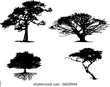 4 different types of tree silhouette