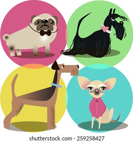 4 dogs of different breeds.