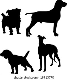 4 dogs isolated on a white background