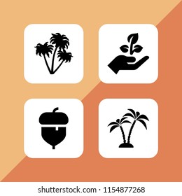 4 dry icons in vector set. desert, seeding and acorn illustration for web and graphic design