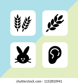 4 ear icons in vector set. wheat, hear and rabbit illustration for web and graphic design