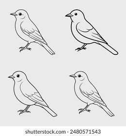 4 Eastern Bluebird vector art illustration.