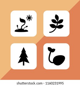 4 ecology icons in vector set. branch with leaves black shape, tree and sprout illustration for web and graphic design