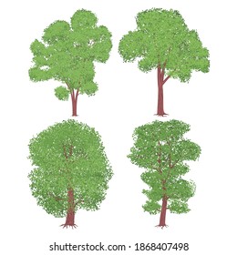 4 elm trees with a wound shape. Set of vector isolated images.