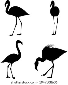 4 flamingo silhouettes. Smooth and Clean Lines. High detailed flamingo silhouettes. Vector Illustration.