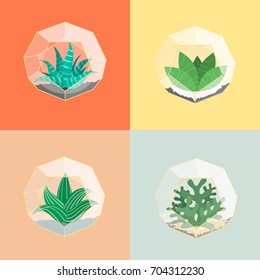 4 Flat succulent set in creative geometric gold and glass greenhouses, cactus clear pot. Interior design concept