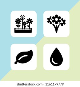 4 flora icons in vector set. plant leaf with white details, floral, drop silhouette and flowers pot of yard illustration for web and graphic design