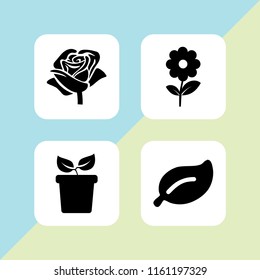4 flora icons in vector set. spring, plant leaf with white details, rose and plant with two leaves on a pot side view illustration for web and graphic design