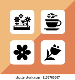 4 flower icons in vector set. floral, tulip, tea and flowers pot of yard illustration for web and graphic design