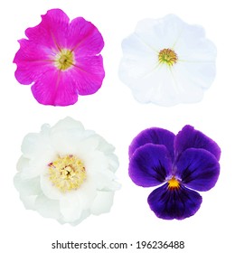 4 Flowers, With Gradient Mesh, Isolated On White Background, Vector Illustration