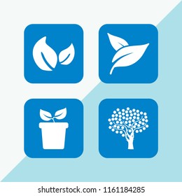 4 foliage icons in vector set. leaf, plant and tree illustration for web and graphic design