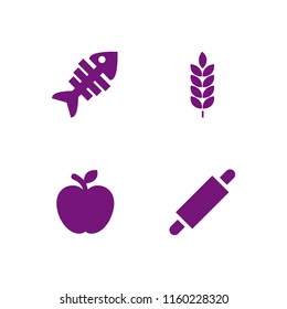 4 fresh icons in vector set. fish, food and branch illustration for web and graphic design